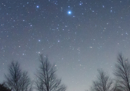 stars_trees_256x180