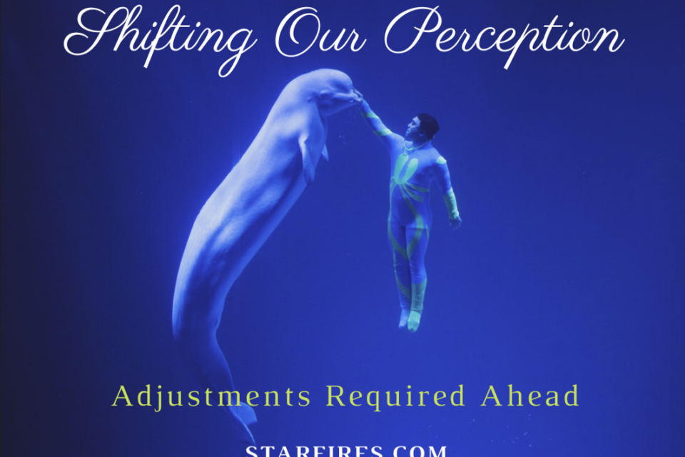 A Challenging World Requires Bold Individuals Like You